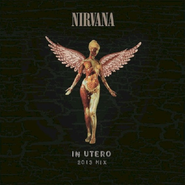 Nirvana - In utero 2013 mix (LP)