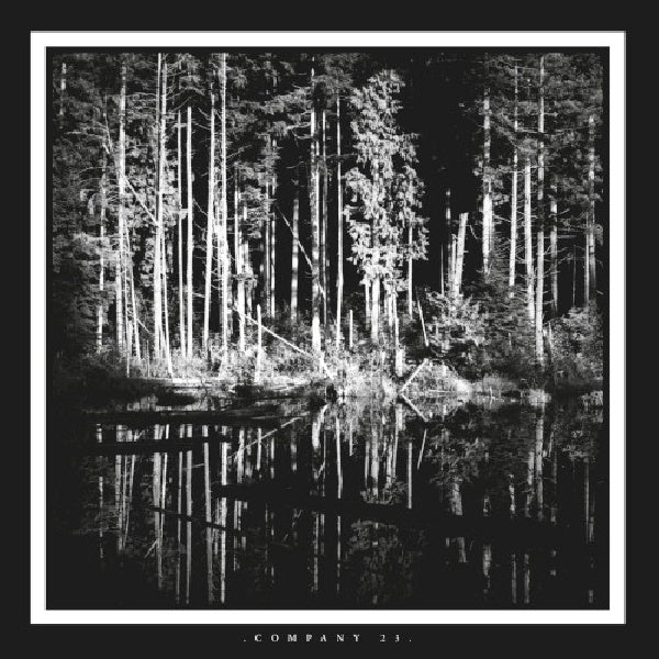 Matt Chamberlain & Brian Haas – Company 23 (12-inch maxi single)