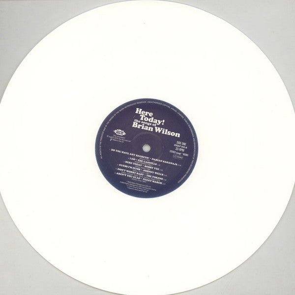 Brian Wilson - Here Today! (The Songs of Brian Wilson) (LP) - Velvet Music