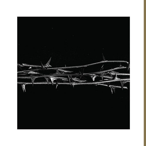 Amenra - De doorn (LP) - Velvet Music