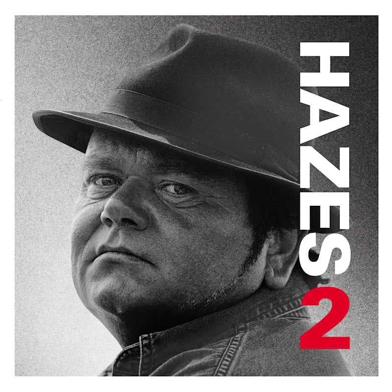 Andre Hazes - Hazes 2 (LP) - Velvet Music