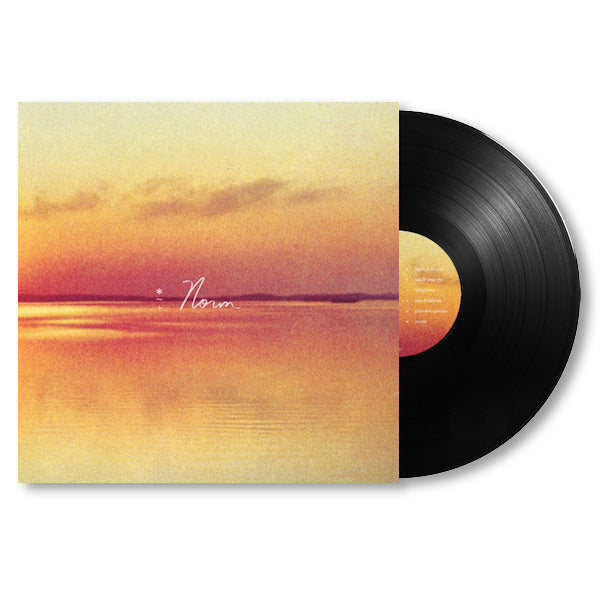 Andy Shauf - Norm (LP) - Velvet Music