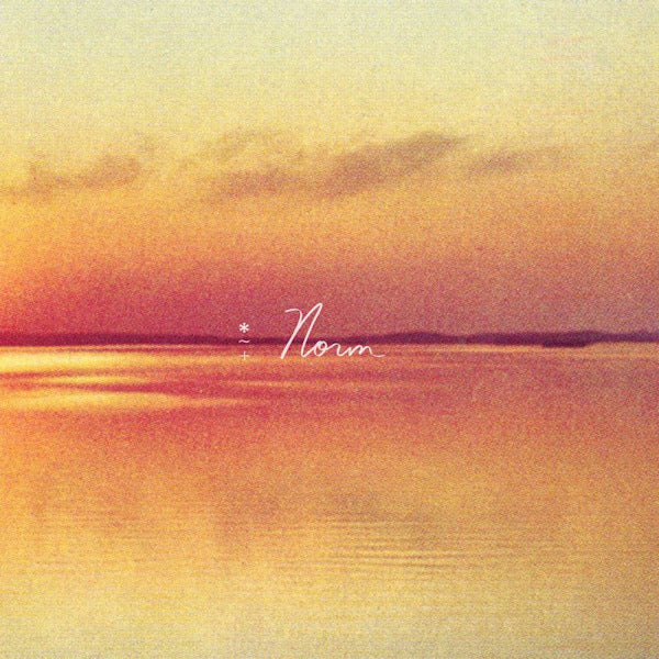 Andy Shauf - Norm (LP) - Velvet Music