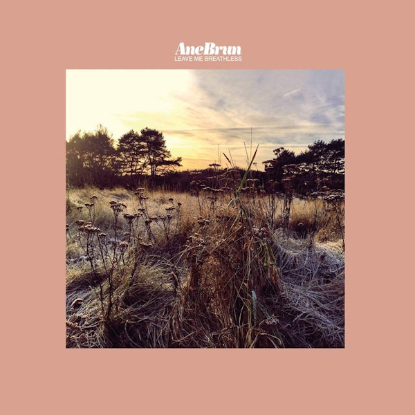 Ane Brun - Leave me breathless (LP)