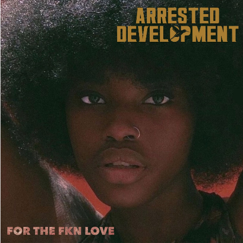 Arrested Development - For the FKN love (LP) - Velvet Music