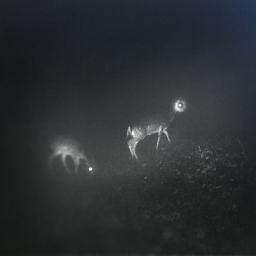 Bliss Signal - Bliss signal (CD)