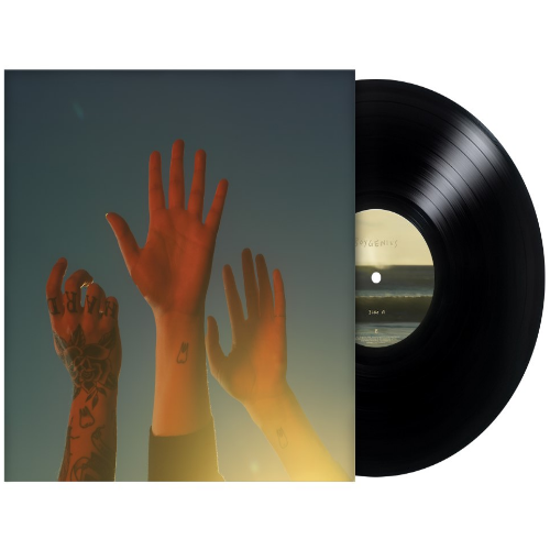 Boygenius - The record (LP)