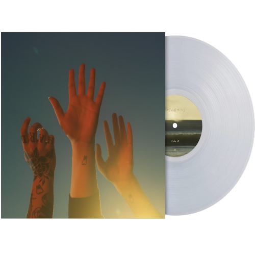 Boygenius - The record (LP) - Velvet Music