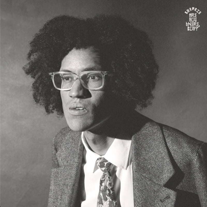 Beharie - Are you there, boy ? (LP) - Velvet Music