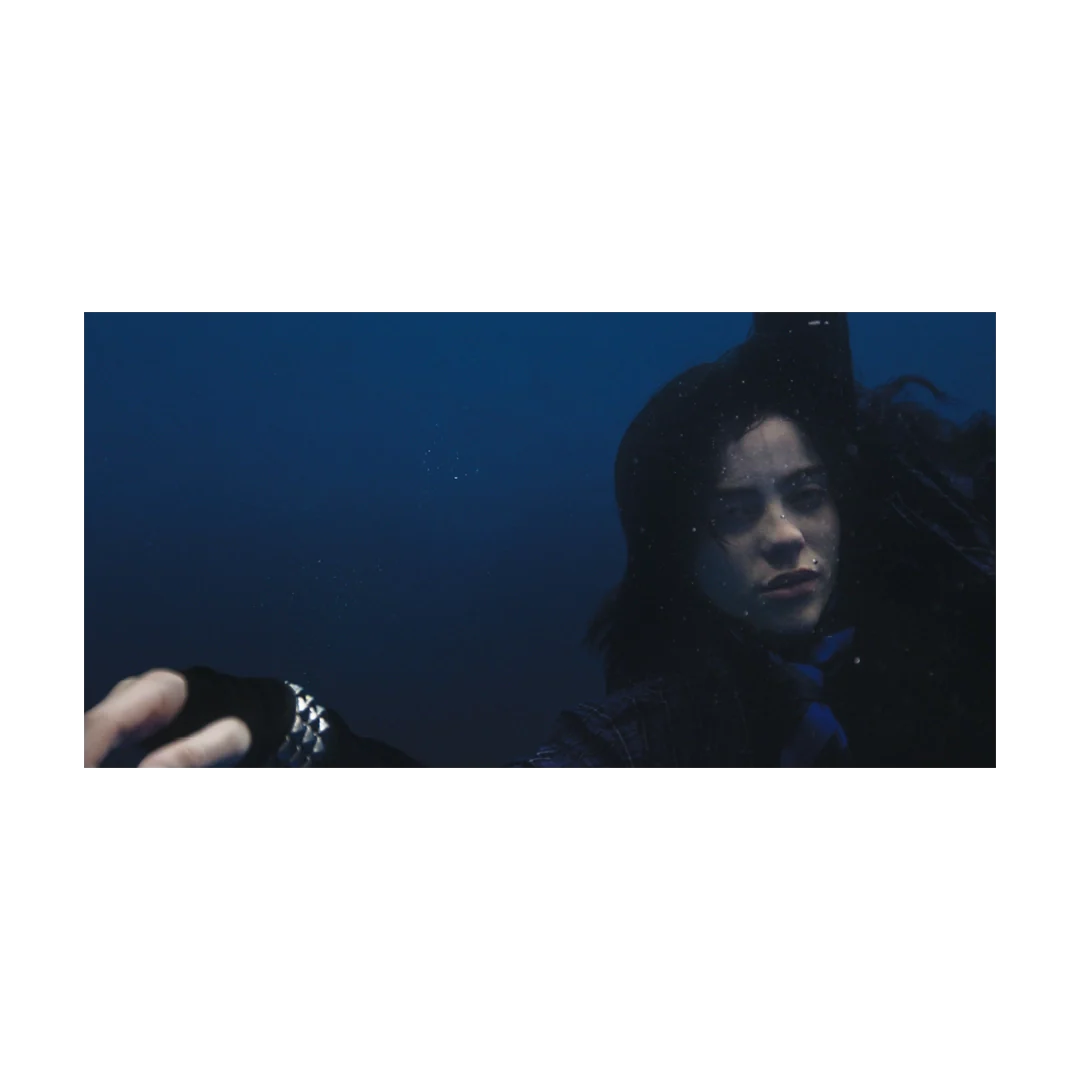 Billie EIlish - HIT ME HARD AND SOFT ANNIVERSARY EDITION VINYL (LP) - Velvet Music