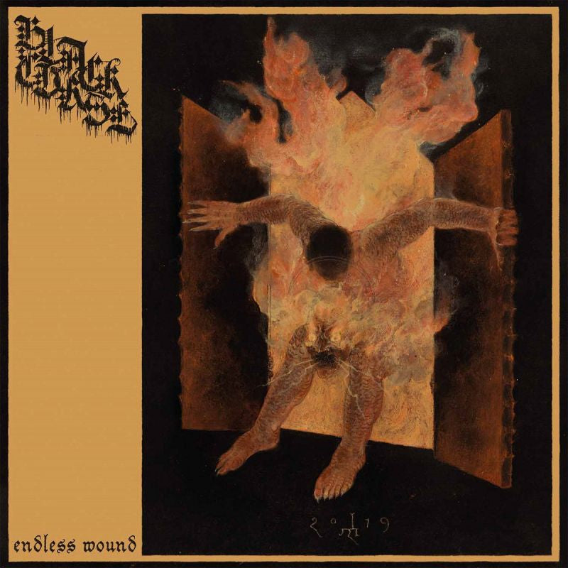 Black Curse - Endless wound (CD)