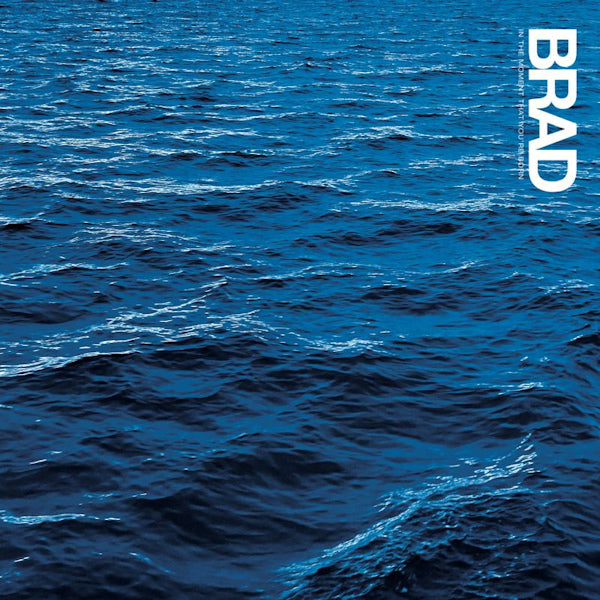 Brad - In the moment that you're born (LP)