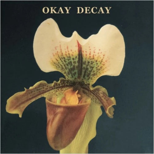 Canshaker Pi - Okay decay (CD)