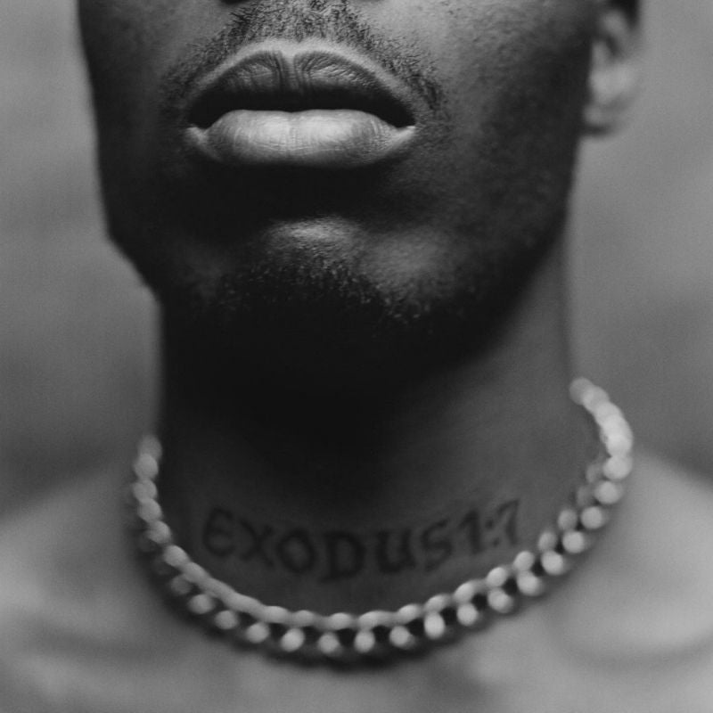 DMX - Exodus (LP) - Velvet Music