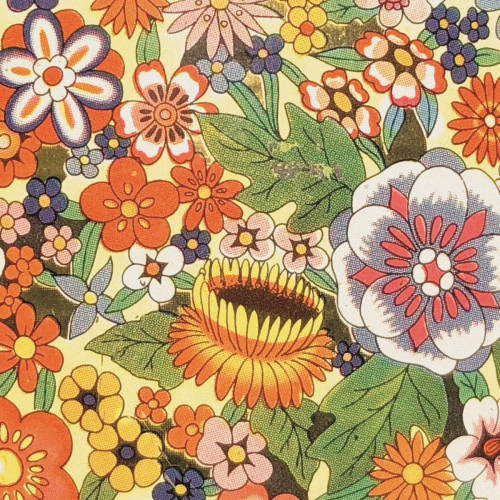 Mike Donovan - Exurbian quonset (LP) - Velvet Music