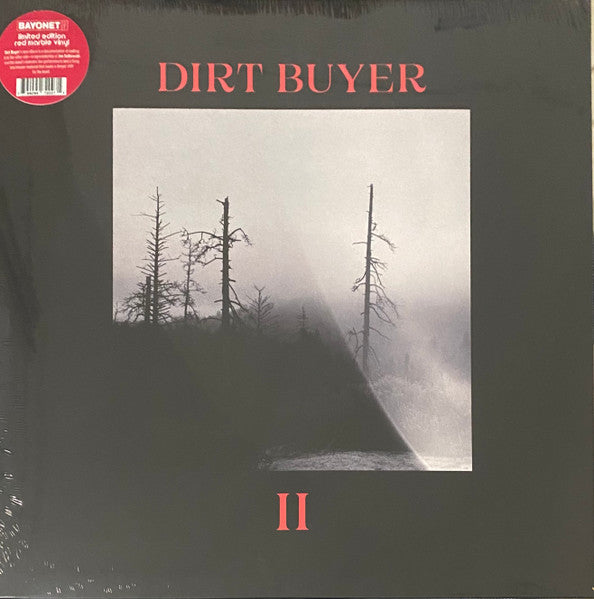 Dirt Buyer - II (LP) - Velvet Music