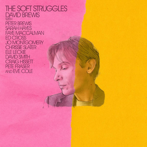 David Brewis - Soft struggles (CD)