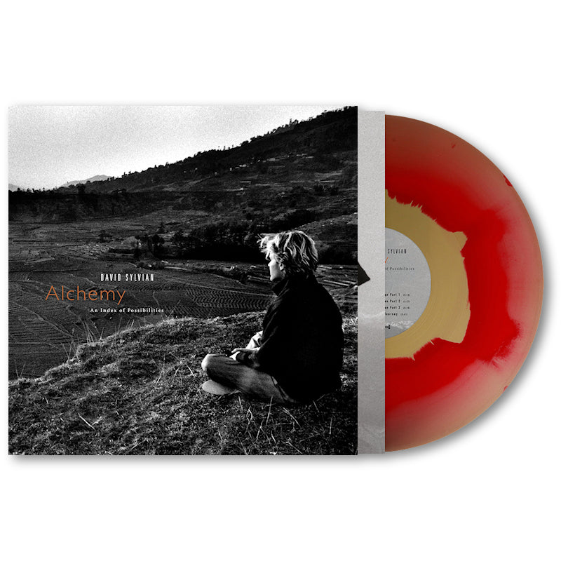 David Sylvian & Jon Hassell - Alchemy an index of possibilities (LP)