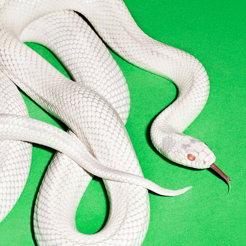 Deftones - Private music (LP) - Velvet Music