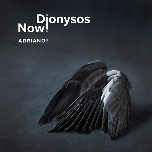 Dionysos Now! - Adriano 4 (LP) - Velvet Music