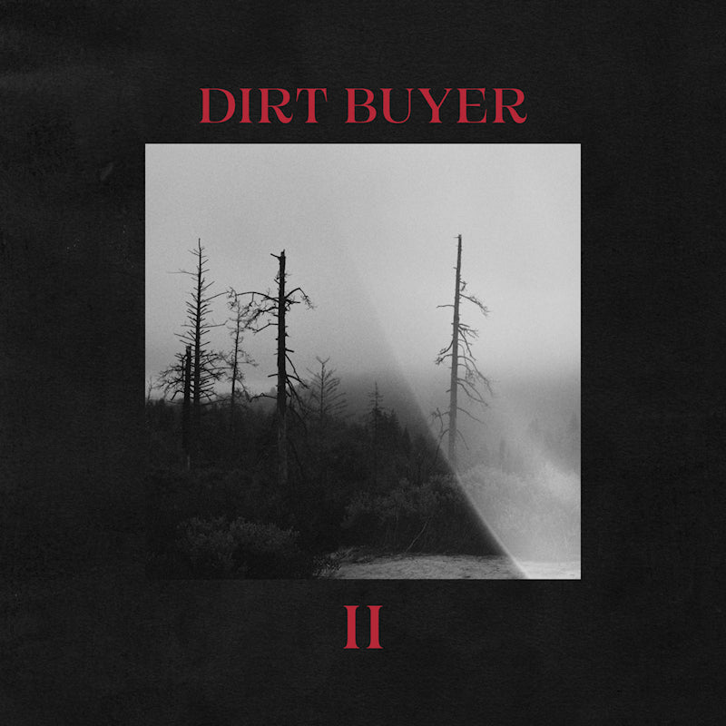 Dirt Buyer - II (LP) - Velvet Music