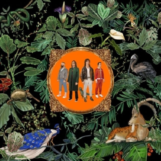 Don Broco - Amazing things (LP)