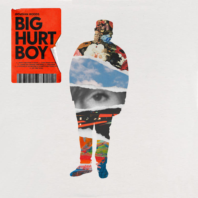 Donovan Woods - Big hurt boy (CD) - Velvet Music