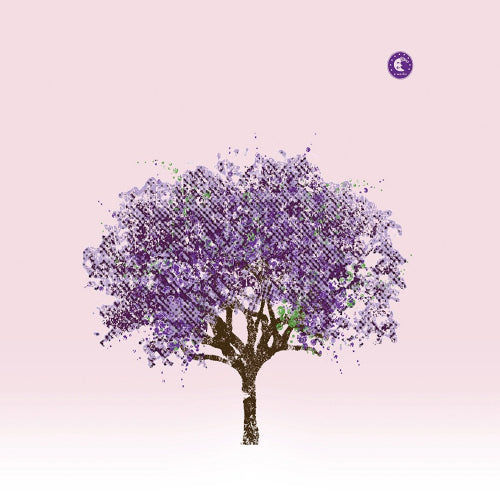 Eels - Tomorrow morning (CD)