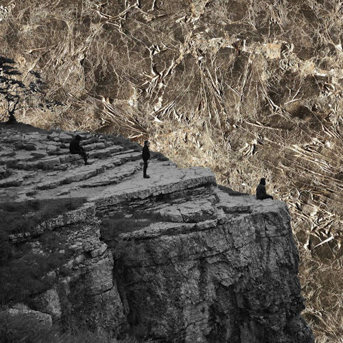 Esben And The Witch - Nowhere (LP)