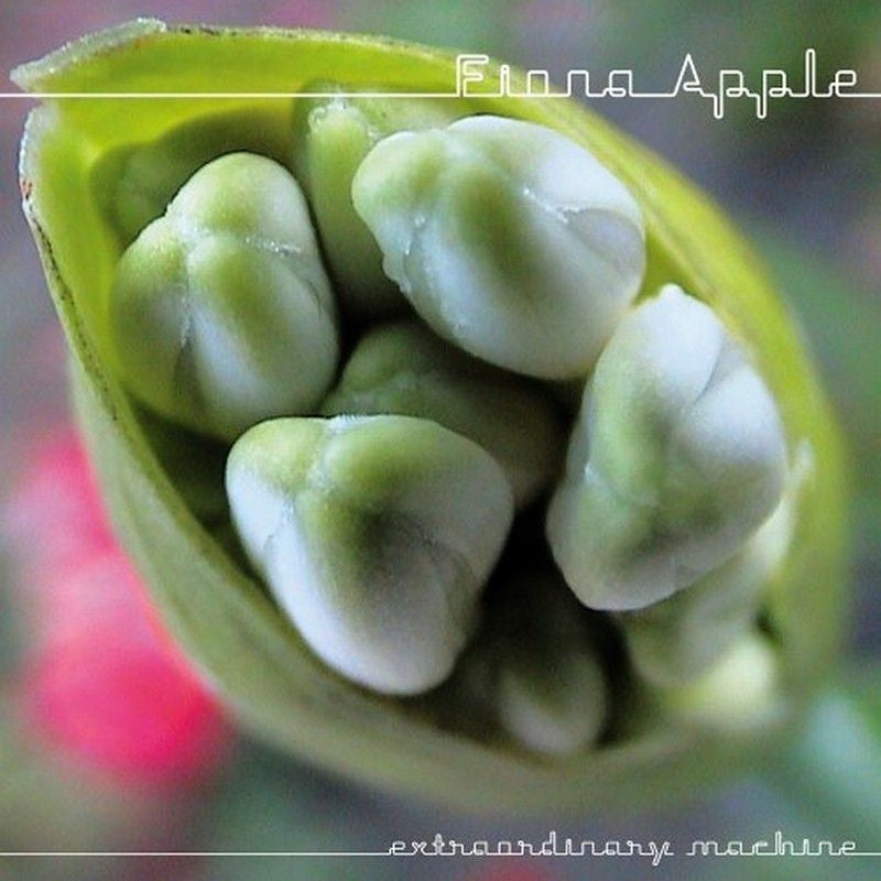 Fiona Apple - Extraordinary machine (CD) - Velvet Music