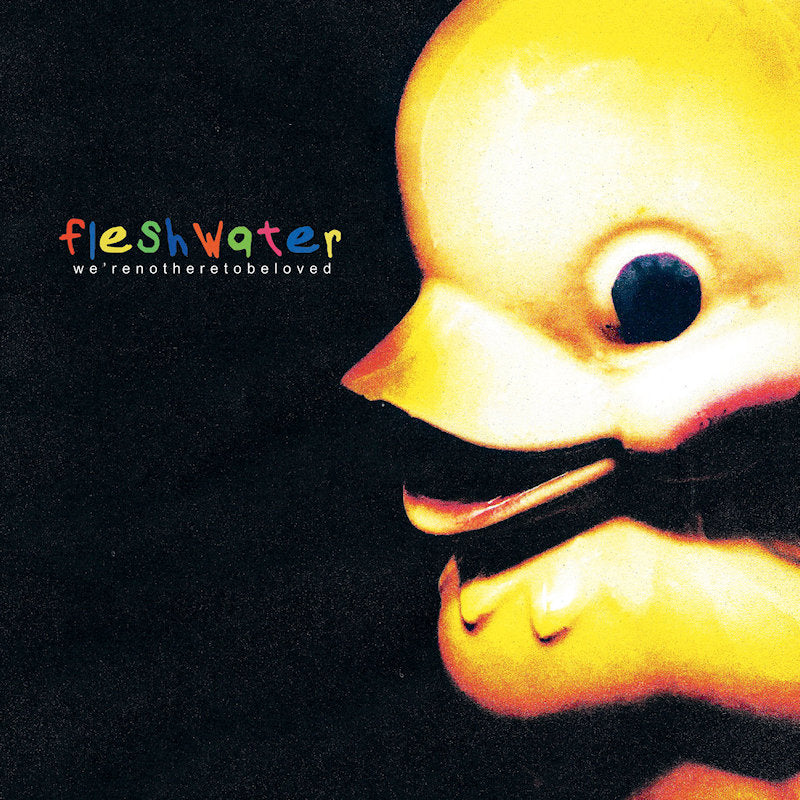 Fleshwater - We're not here to be loved (LP)