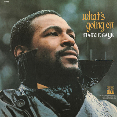 Marvin Gaye - What's going on (LP) - Velvet Music