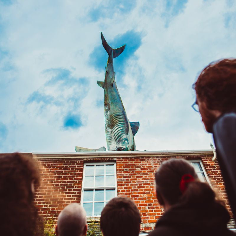 Gen And The Degenerates - Anti-fun propaganda (CD)