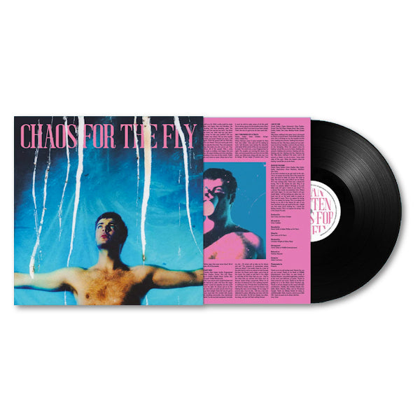 Grian Chatten - Chaos for the fly (LP) - Velvet Music