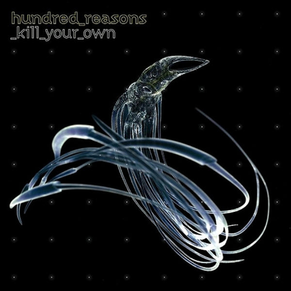 Hundred Reasons - Kill your own (CD) - Velvet Music