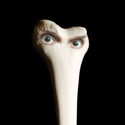 Juana Molina - Halo (CD) - Velvet Music
