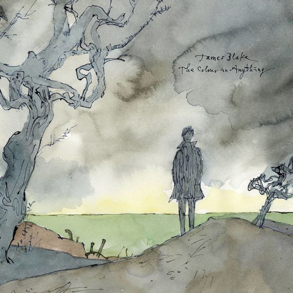 James Blake - The colour in anything (LP)