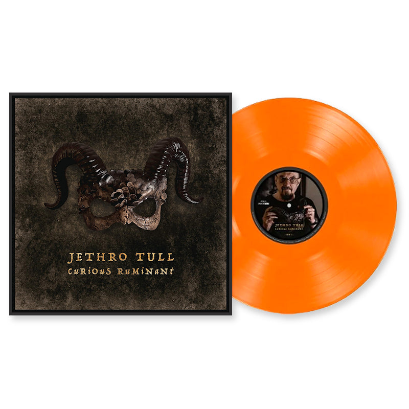Jethro Tull - Curious ruminant (LP)