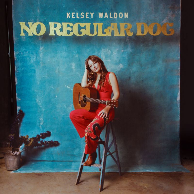 Kelsey Waldon - No regular dog (LP) - Velvet Music