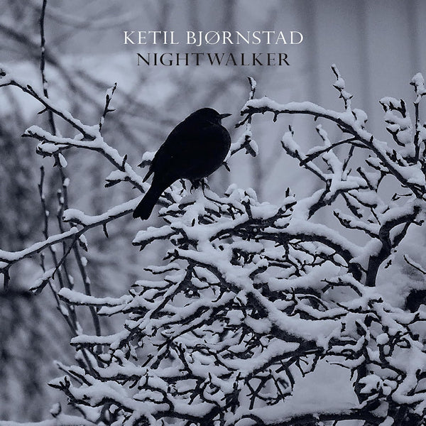 Ketil Bjornstad - Nightwalker (CD) - Velvet Music