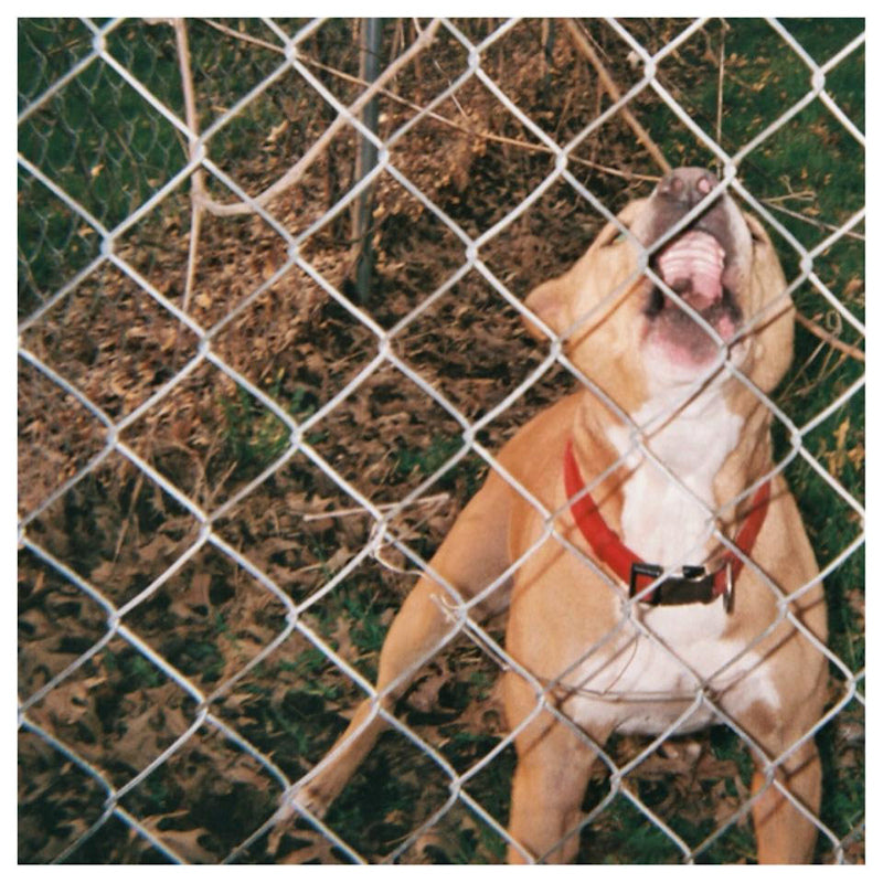 Knocked Loose - Pop culture (12-inch maxi-single) - Velvet Music