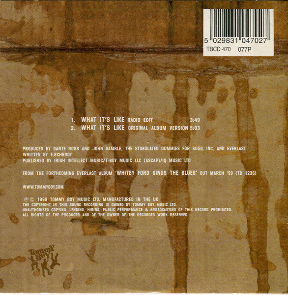 Everlast - What It's Like (tweedehands CD) - Velvet Music
