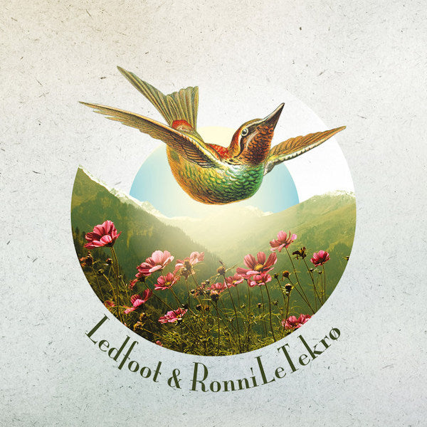 Ledfoot & Ronni Le Tekro - Ledfoot & ronni le tekro (LP) - Velvet Music