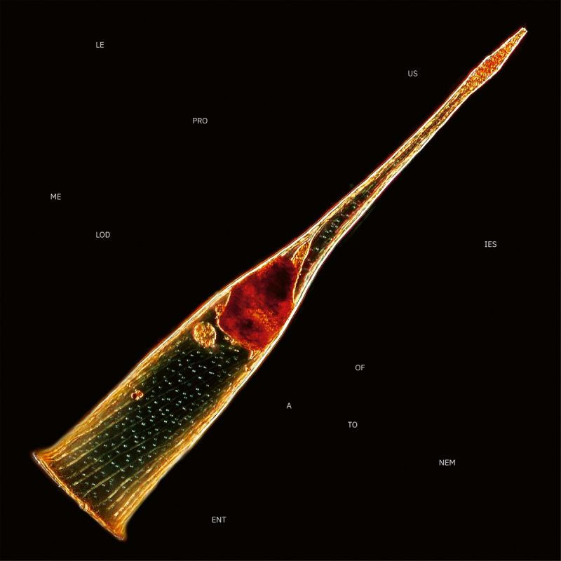 Leprous - Melodies Of Atonement (LP) - Velvet Music