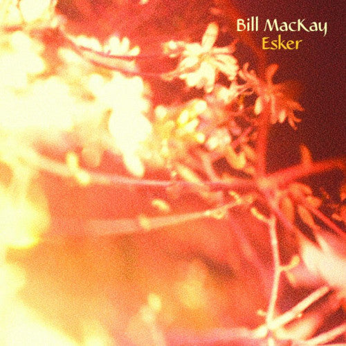 Bill Mackay - Esker (CD)