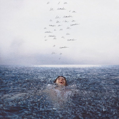 Shawn Mendes - Wonder (LP) - Velvet Music
