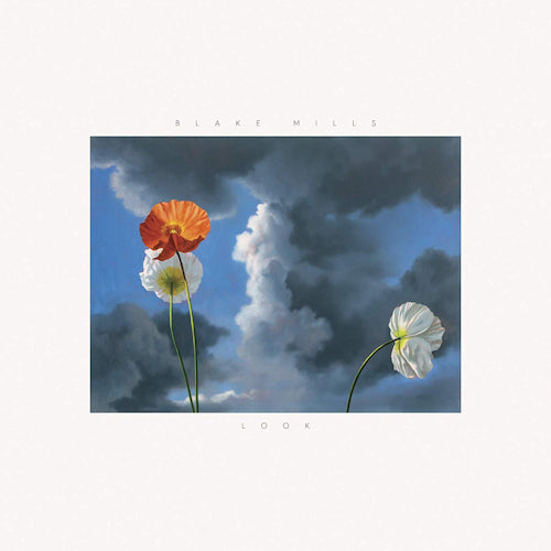 Blake Mills - Look (LP) - Velvet Music