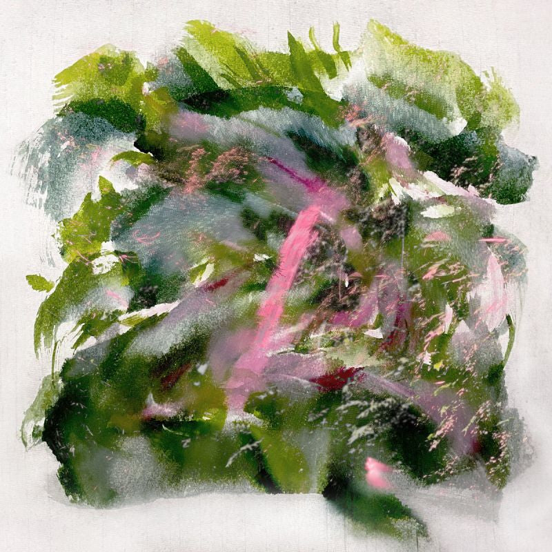 Mizu - Forest scenes (LP)