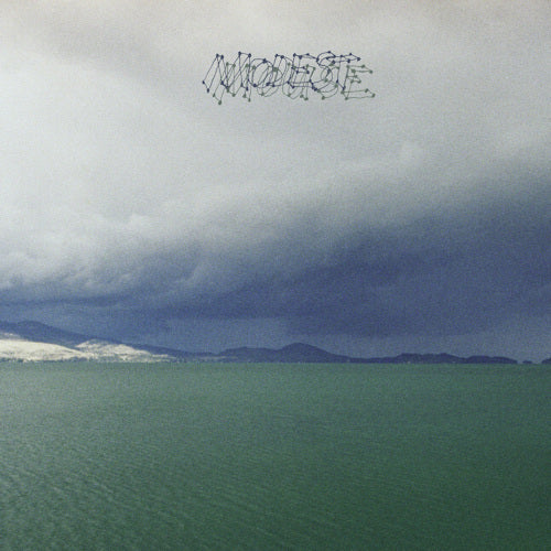 Modest Mouse - Fruit that ate itself (LP)