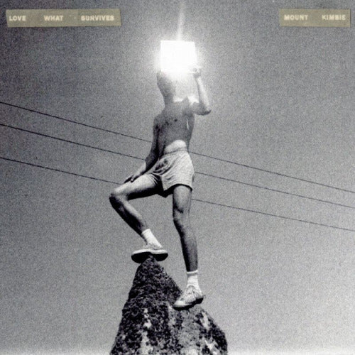 Mount Kimbie - Love what survives (LP)